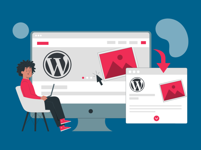 Image of person installing a WordPress theme for their website